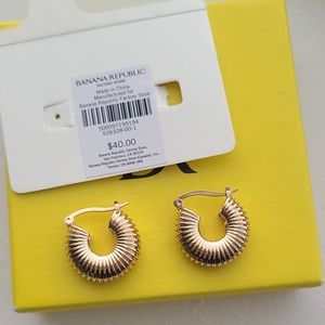 Banana Republic Coil hoop earrings